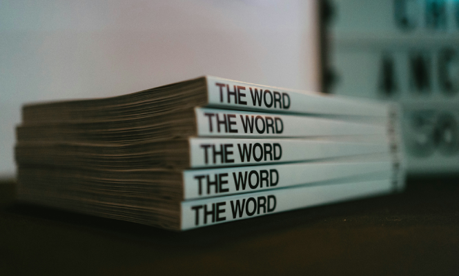 WordPress Theme Guide