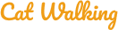 Cat Walking Pro