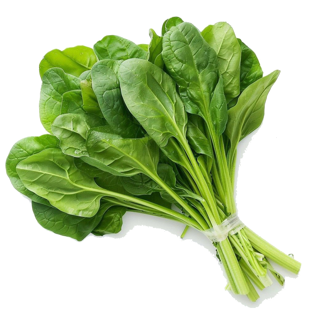 farm-spinach-leaves.png